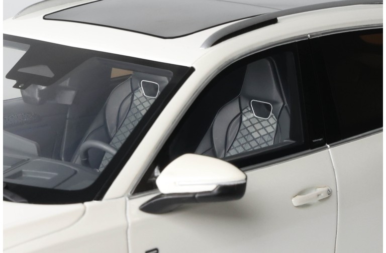 Volkswagen Tiguan e Tsi R-Line Oryx White Pearl L0K1 2024