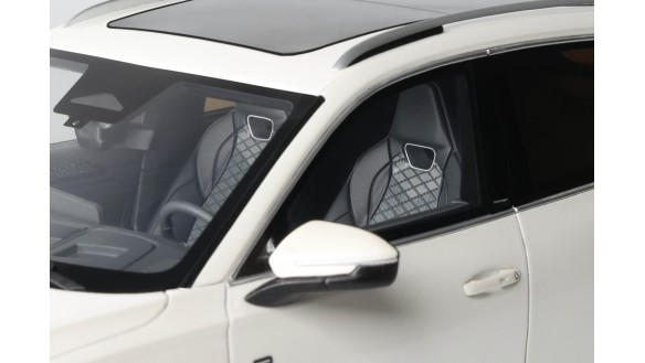 Volkswagen Tiguan e Tsi R-Line Oryx White Pearl L0K1 2024