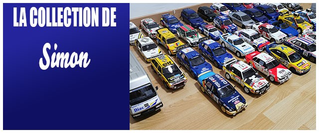 La Collection de Simon